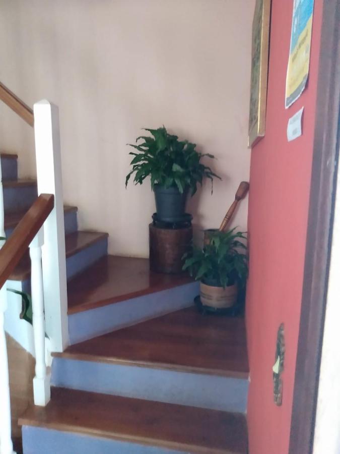 Campos do Jordão Casa Flor De Lizヴィラ エクステリア 写真