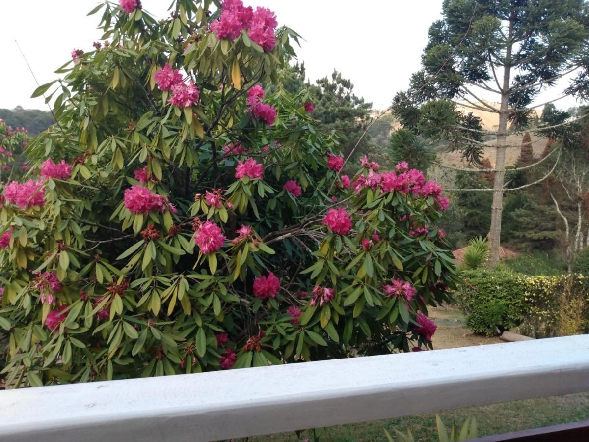 Campos do Jordão Casa Flor De Lizヴィラ エクステリア 写真